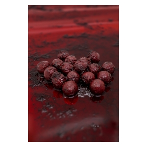 SINGLEPLAYER Wafters Dumbells Bloodworm 16mm 150g